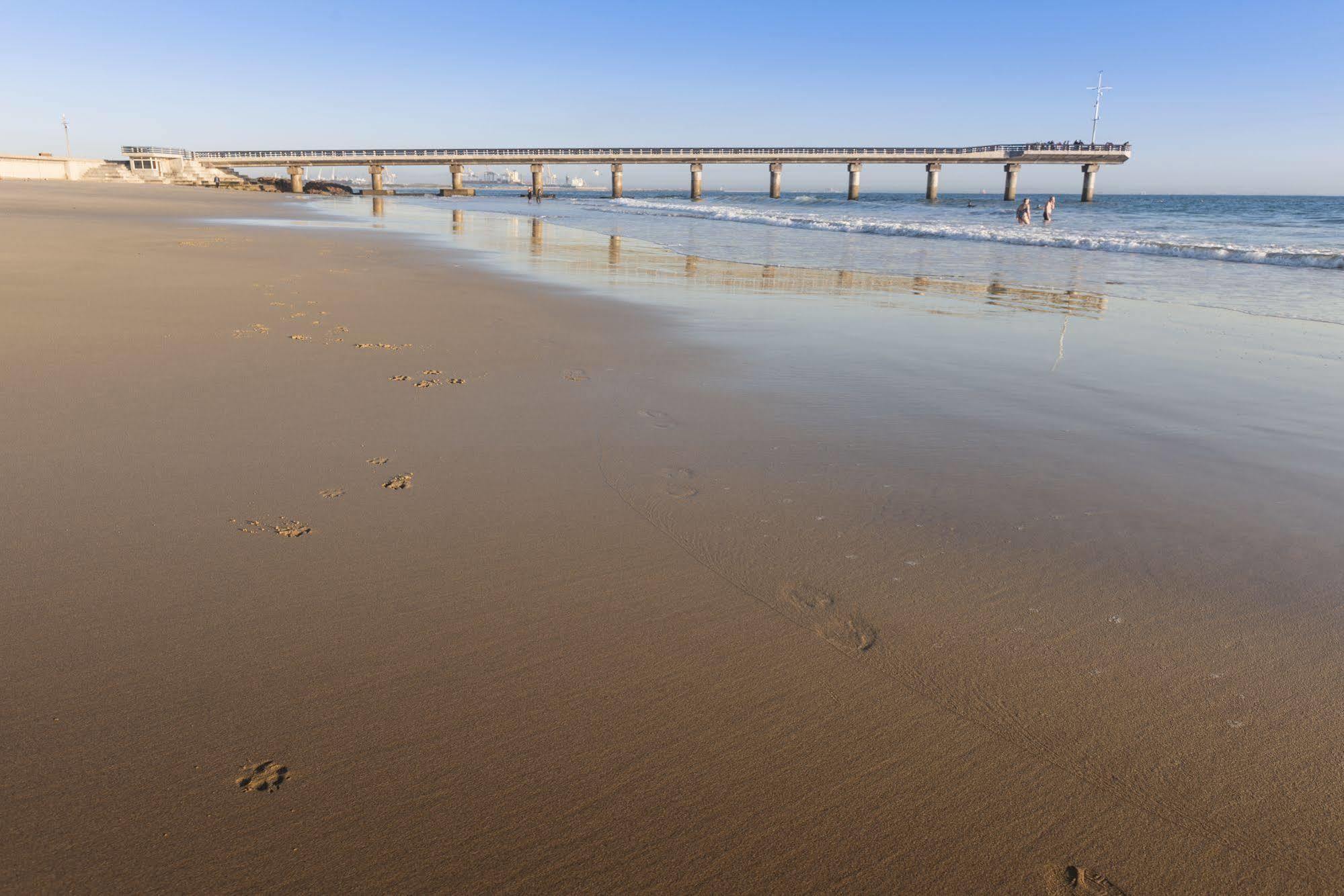 Beachwalk Bed And Breakfast Port Elizabeth Buitenkant foto